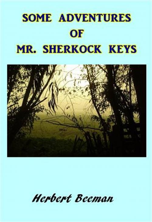 Cover of the book Some Adventures of Mr. Sherlock Keys by Herbert Beeman, Green Bird Press