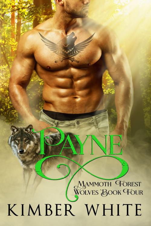 Cover of the book Payne by Kimber White, Nokay Press LLC