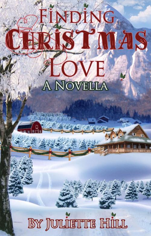 Cover of the book Finding Christmas Love by Juliette Hill, Annie Acorn Publishing LLC