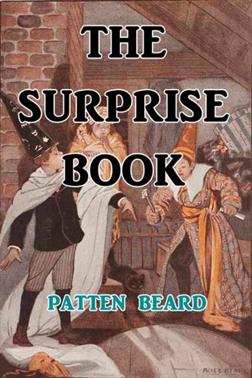Cover of the book The Surprise Book by Patten Beard, Green Bird Press