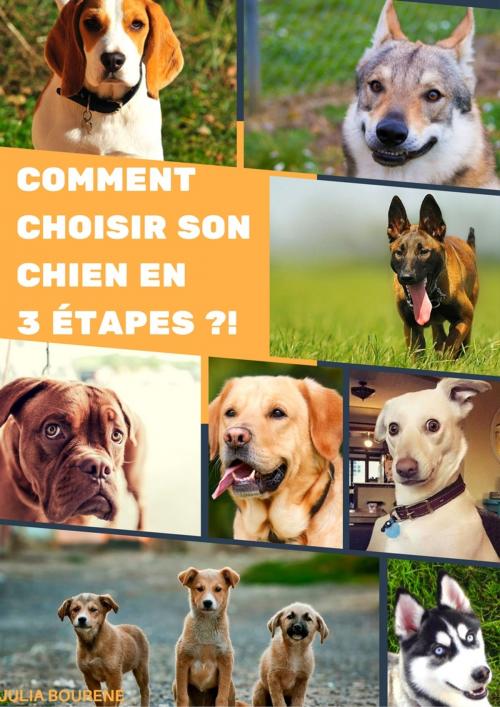 Cover of the book Comment choisir son chien en 3 étapes by Julia Bourene, Julia Bourene