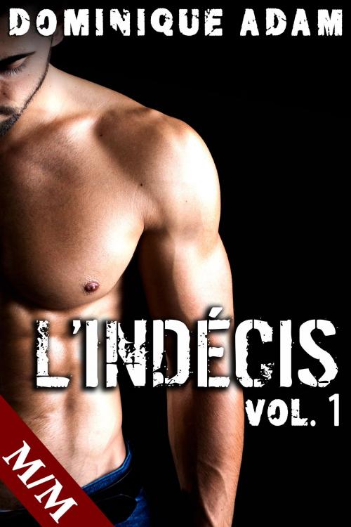 Cover of the book L'Indécis Vol. 1 by Dominique Adam, Dominique Adam