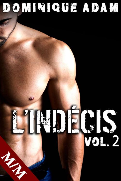 Cover of the book L'Indécis Vol. 2 by Dominique Adam, Dominique Adam