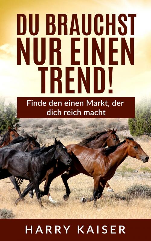Cover of the book Du brauchst nur einen Trend! by Harry Kaiser, Dao Press LLC