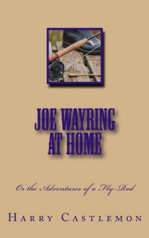 Cover of the book Joe Wayring at Home by Harry Castlemon, Green Bird Press