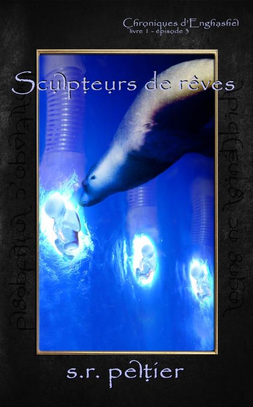 Cover of the book Sculpteurs de rêves by S.R. PELTIER, S.R. PELTIER