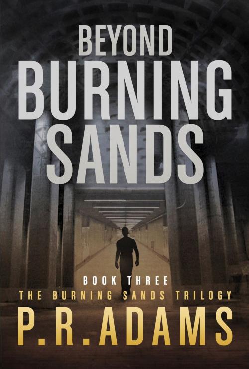 Cover of the book Beyond Burning Sands by P R Adams, Promethean Tales