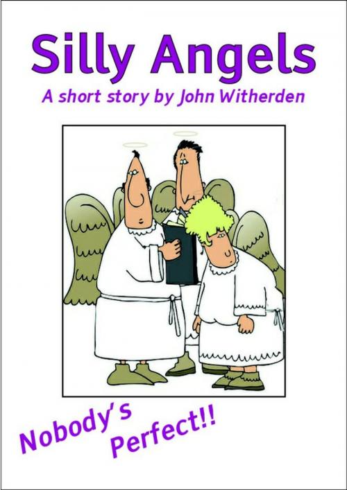 Cover of the book Silly Angels by John Witherden, Different Books