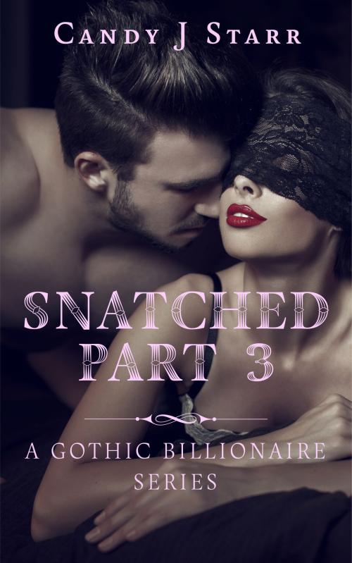 Cover of the book Snatched - Part 3 by Candy J Starr, Candy J Starr