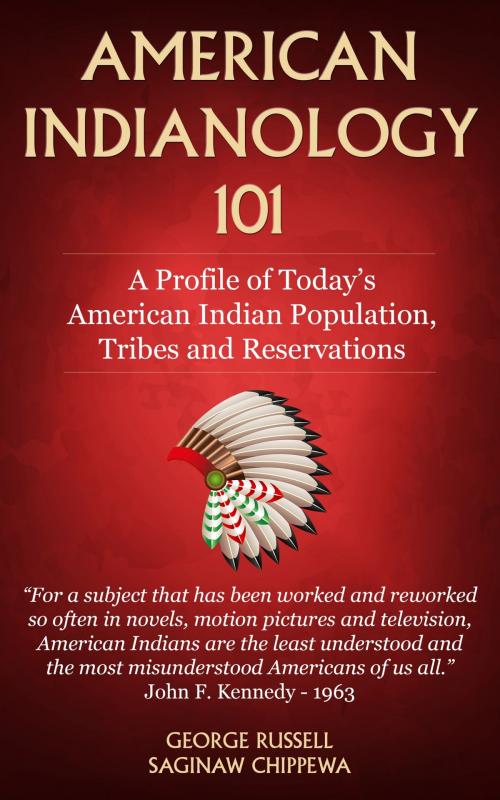 Cover of the book American Indianology 101 by George Russell, PublishDrive