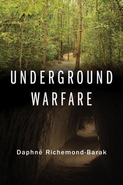 Cover of the book Underground Warfare by Daphné Richemond-Barak, Oxford University Press