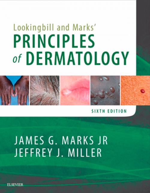 Cover of the book Lookingbill and Marks' Principles of Dermatology E-Book by James G. Marks Jr., MD, Jeffrey J. Miller, MD, Elsevier Health Sciences