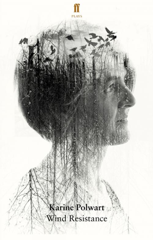 Cover of the book Wind Resistance by Karine Polwart, Faber & Faber
