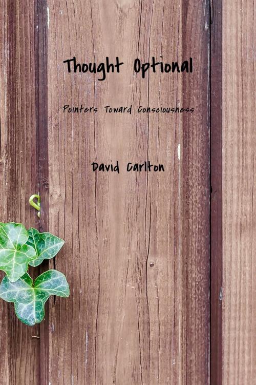 Cover of the book Thought Optional by David Carlton, Sizzling Pan Publications