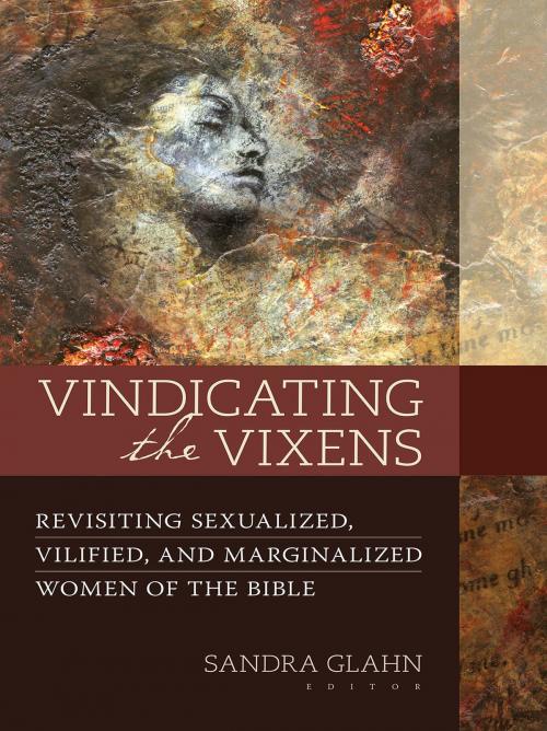 Cover of the book Vindicating the Vixens by Sandra Glahn, Kregel Publications