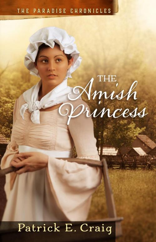 Cover of the book The Amish Princess by Patrick E. Craig, P&J Publishing