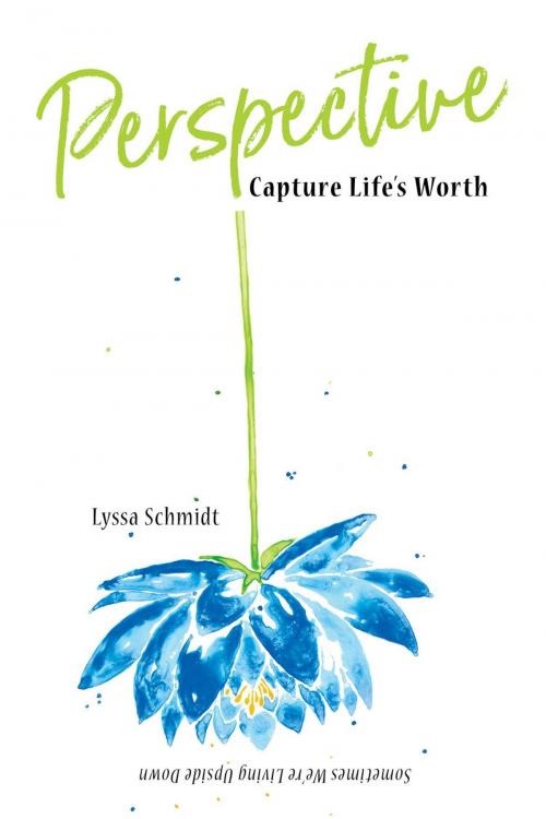 Cover of the book Perspective: Capture Life's Worth by Lyssa Schmidt, Suitcase Publishing Company