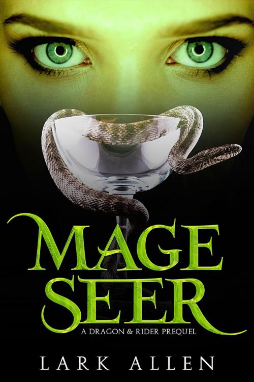 Cover of the book Mage Seer by Lark Allen, Lark Allen