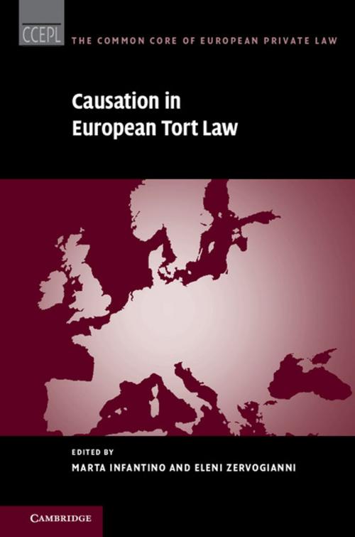 Cover of the book Causation in European Tort Law by , Cambridge University Press