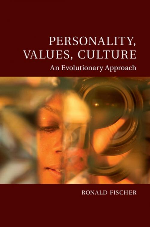 Cover of the book Personality, Values, Culture by Ronald Fischer, Cambridge University Press