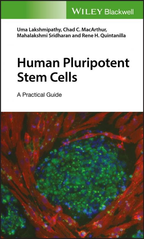 Cover of the book Human Pluripotent Stem Cells by Uma Lakshmipathy, Chad C. MacArthur, Mahalakshmi Sridharan, Rene H. Quintanilla, Wiley