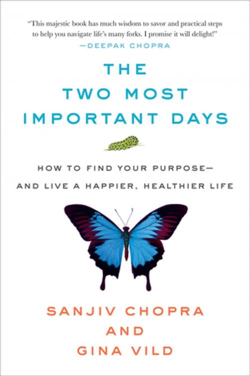 Cover of the book The Two Most Important Days by Sanjiv Chopra, Gina Vild, St. Martin's Press