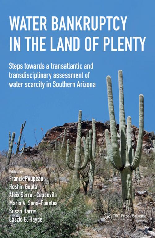 Cover of the book Water Bankruptcy in the Land of Plenty by , CRC Press
