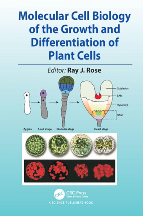 Cover of the book Molecular Cell Biology of the Growth and Differentiation of Plant Cells by , CRC Press