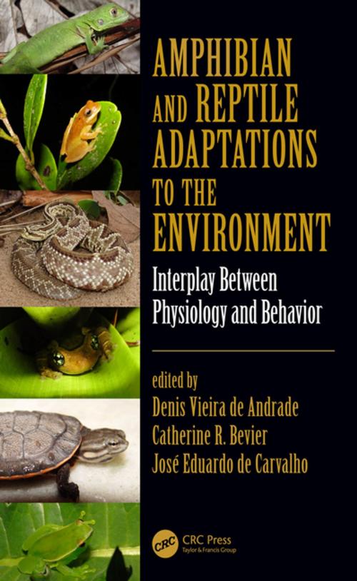 Cover of the book Amphibian and Reptile Adaptations to the Environment by , CRC Press