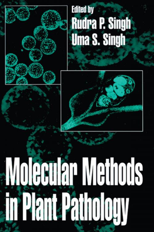 Cover of the book Molecular Methods in Plant Pathology by U. S. Singh, Rudra P. Singh, CRC Press