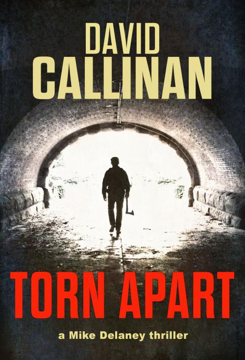Cover of the book Torn Apart by David Callinan, David Callinan