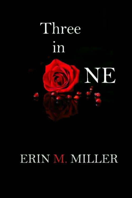 Cover of the book Three In One by Erin Miller, Erin Miller