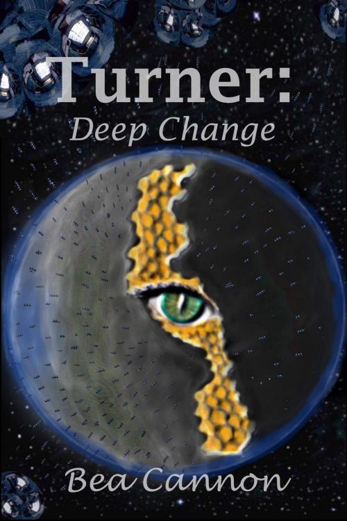 Cover of the book Turner: Deep Change by Bea Cannon, Bea Cannon