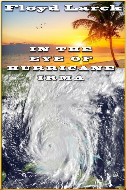 Cover of the book In The Eye of Hurricane Irma by Floyd Larck, Floyd Larck