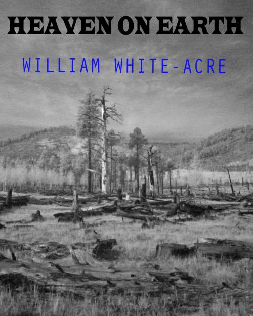 Cover of the book Heaven On Earth by William White-acre, William White-acre
