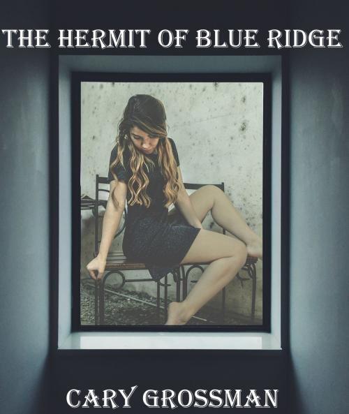 Cover of the book The Hermit of Blue Ridge by Cary Marc Grossman, Cary Marc Grossman