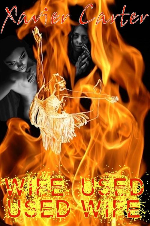 Cover of the book Wife Used...Used Wife by Xavier Carter, Xavier Carter