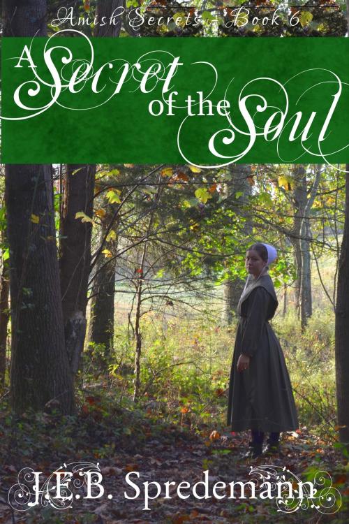 Cover of the book A Secret of the Soul (Amish Secrets - Book 6) by J.E.B. Spredemann, J.E.B. Spredemann