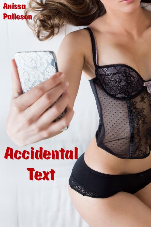 Cover of the book Accidental Text by Anissa Palleson, Anissa Palleson