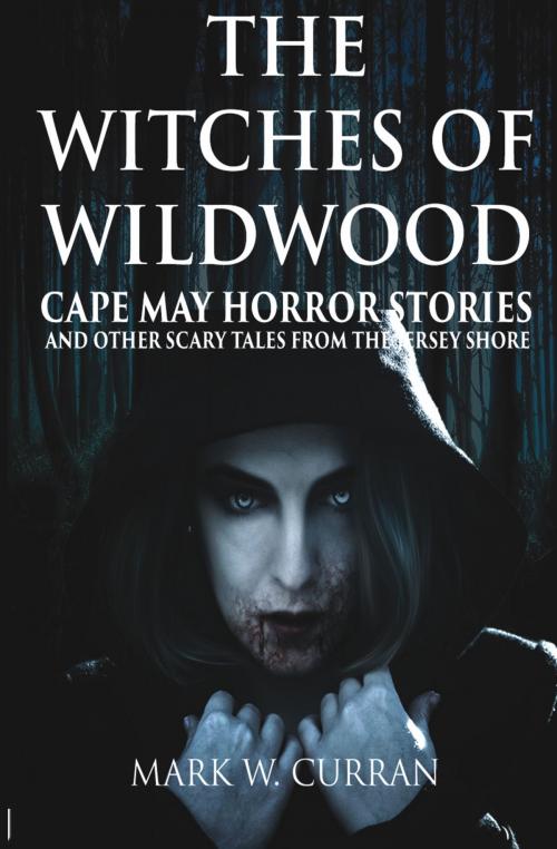 Cover of the book The Witches of Wildwood: Cape May Horror Stories and Other Scary Tales from the Jersey Shore by Library House Books, Library House Books