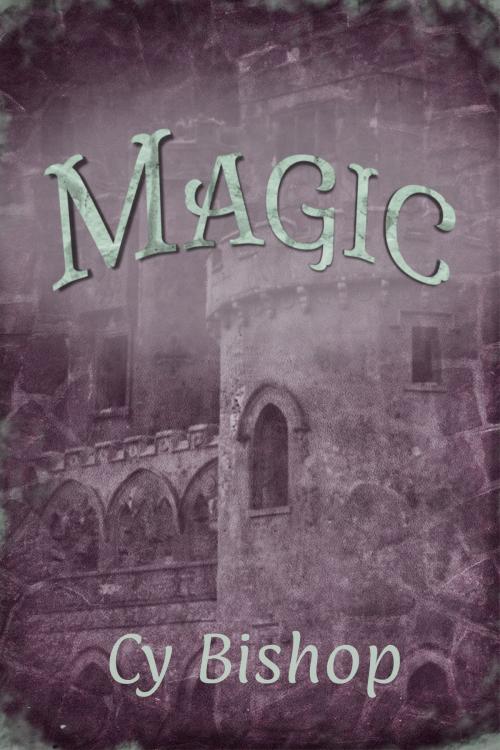 Cover of the book The Endonshan Chronicles Book 4: Magic by Cy Bishop, Cy Bishop