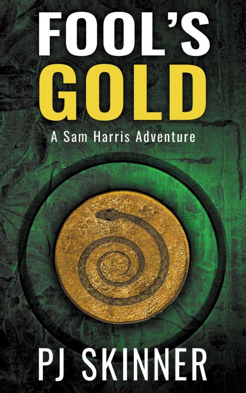 Cover of the book Fool's Gold by PJ Skinner, PJ Skinner