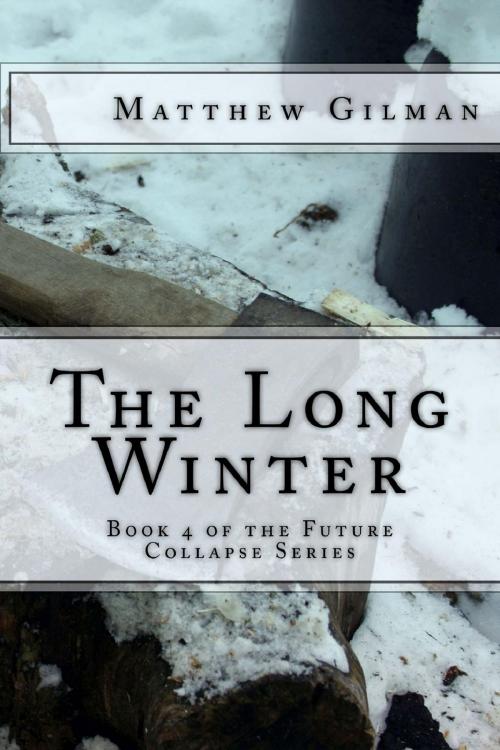 Cover of the book The Long Winter by Matthew Gilman, Matthew Gilman
