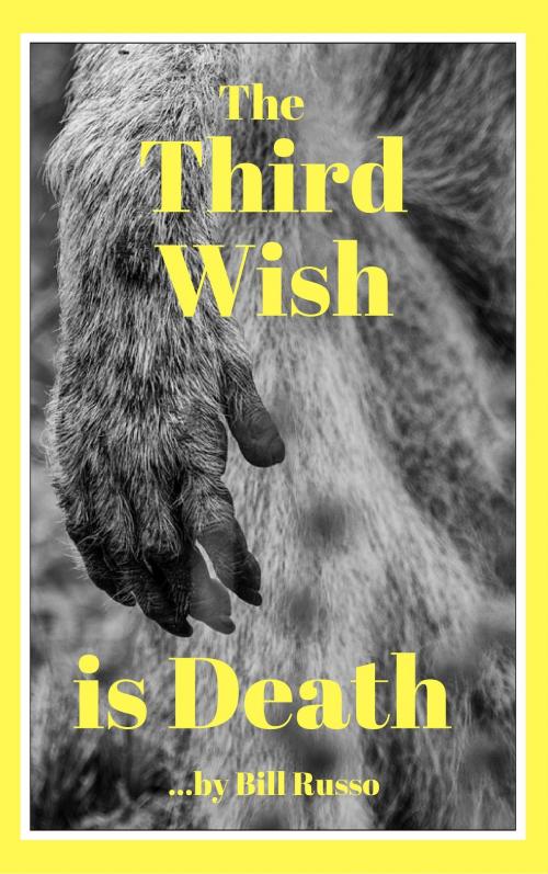 Cover of the book The Third Wish is Death by Bill Russo, Bill Russo