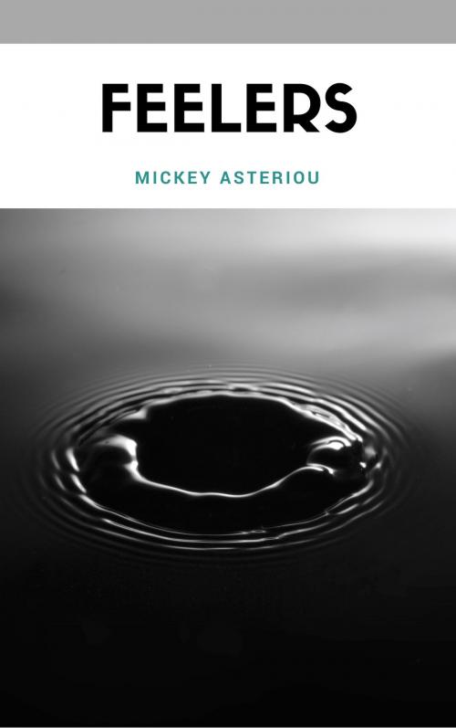 Cover of the book Feelers by Mickey Asteriou, Mickey Asteriou