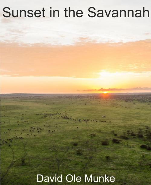 Cover of the book Sunset in the Savannah by David Ole Munke, David Ole Munke