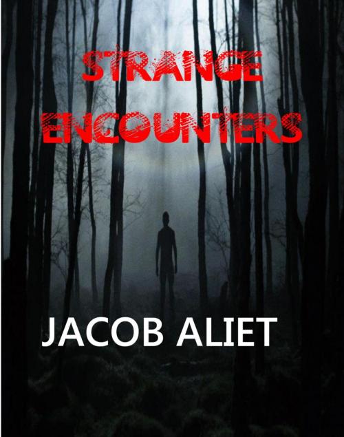 Cover of the book Strange Encounters by Jacob Aliet, Jacob Aliet
