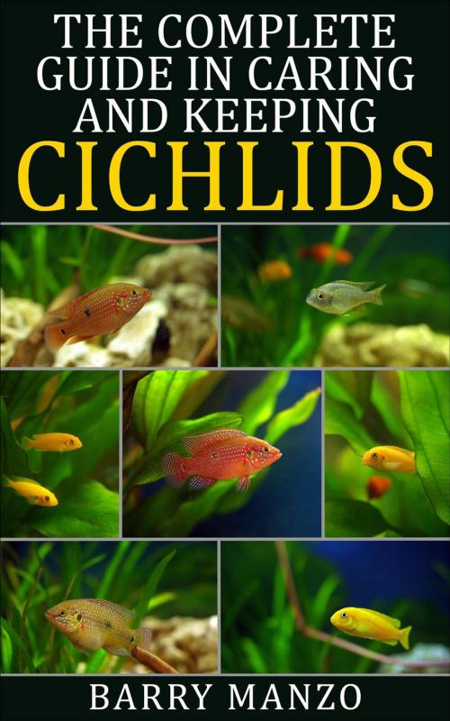 Cover of the book The Complete Guide In Caring and Keeping Cichlids by Barry Manzo, justhappyforever.com