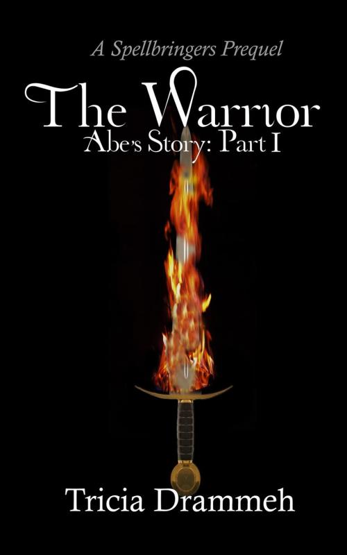 Cover of the book The Warrior by Tricia Drammeh, ATW Publishing