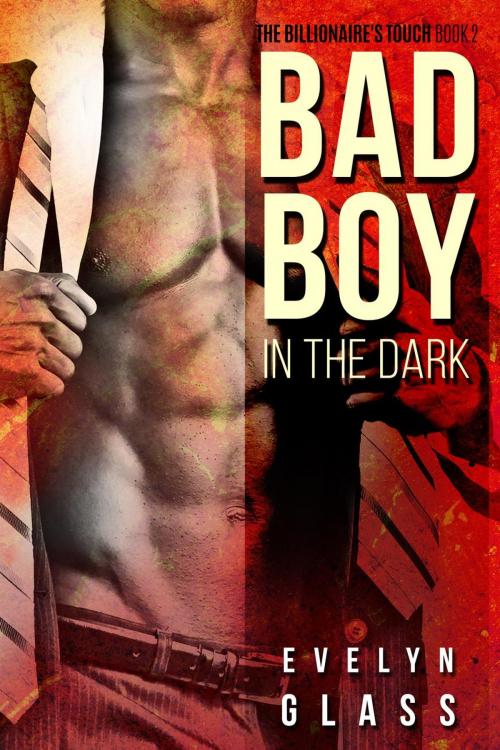 Cover of the book Bad Boy in the Dark by Evelyn Glass, eBook Publishing World